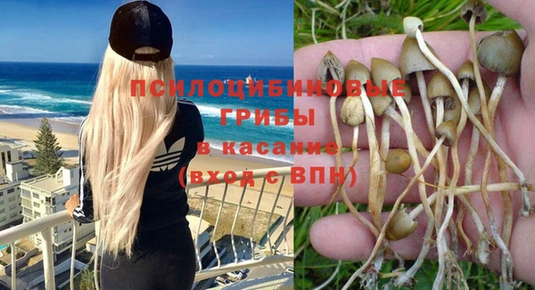 амф Алексин