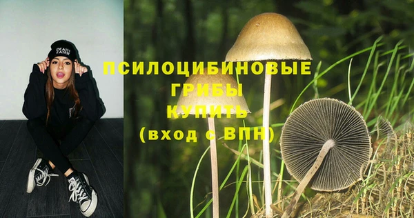 винт Алексеевка