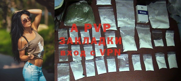 амф Алексин