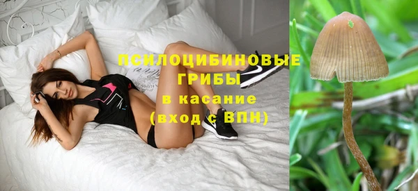 ALPHA PVP Алзамай