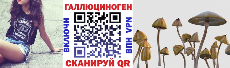 Галлюциногенные грибы Cubensis  Раменское 