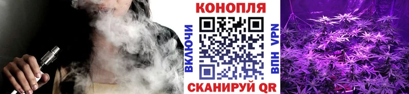 Каннабис сатива  Раменское 